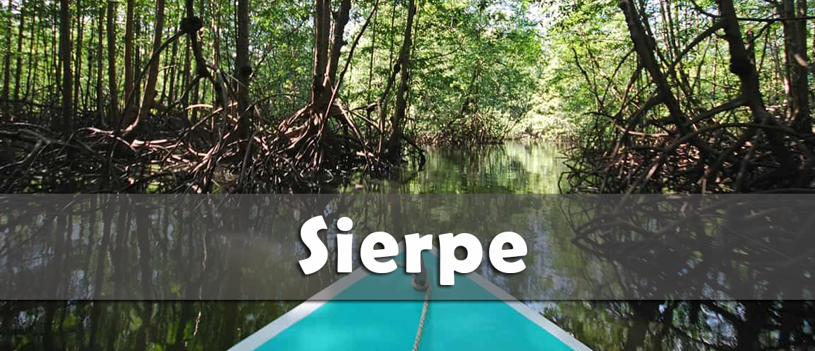 Sierpe2