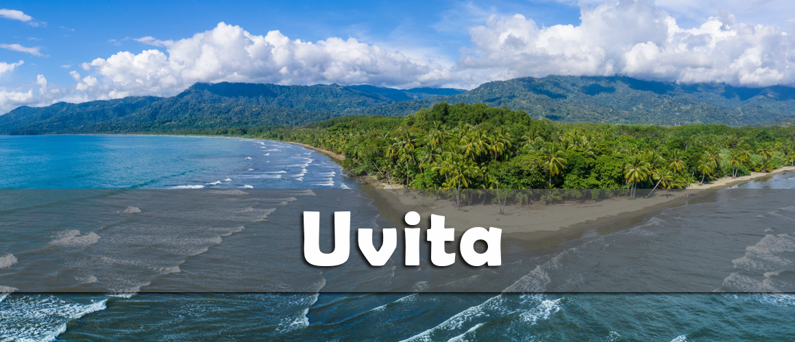 Uvita2