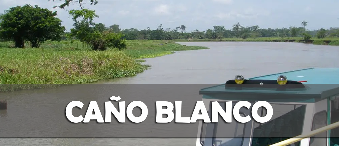 CAÑO BLANCO