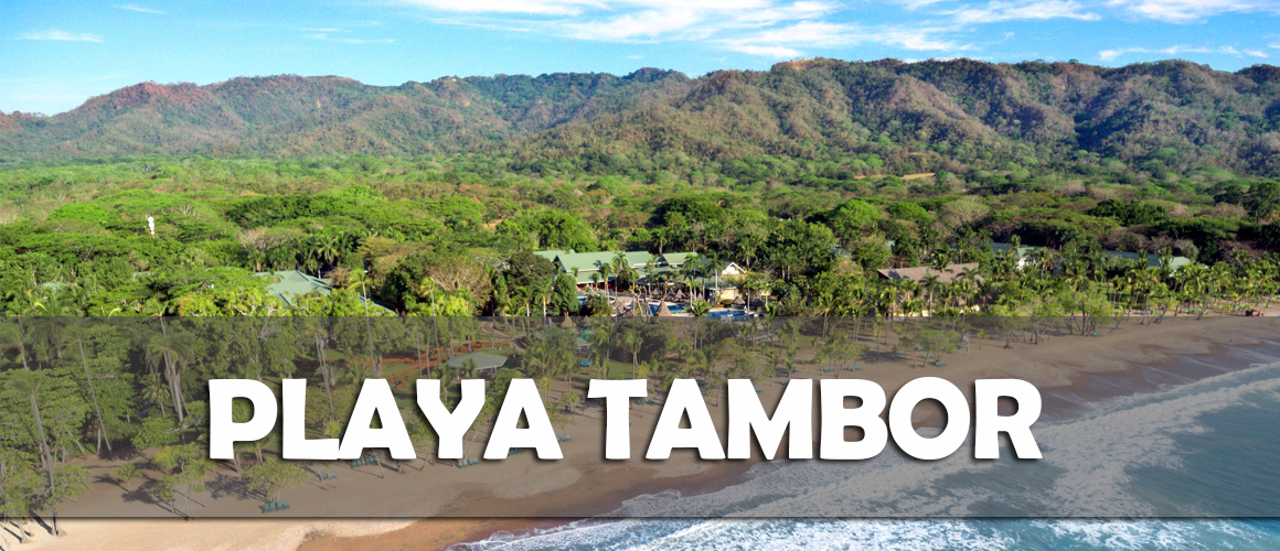 PLAYA TAMBOR