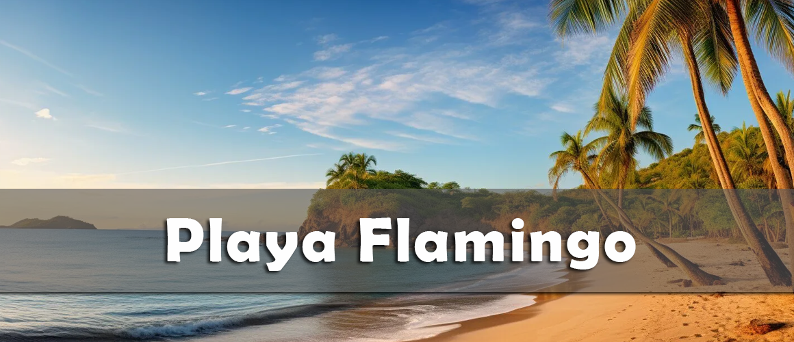 Playa Flamingo2