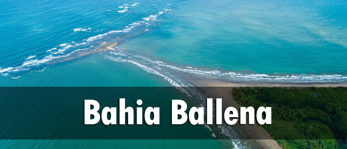 bahia-ballena-banner